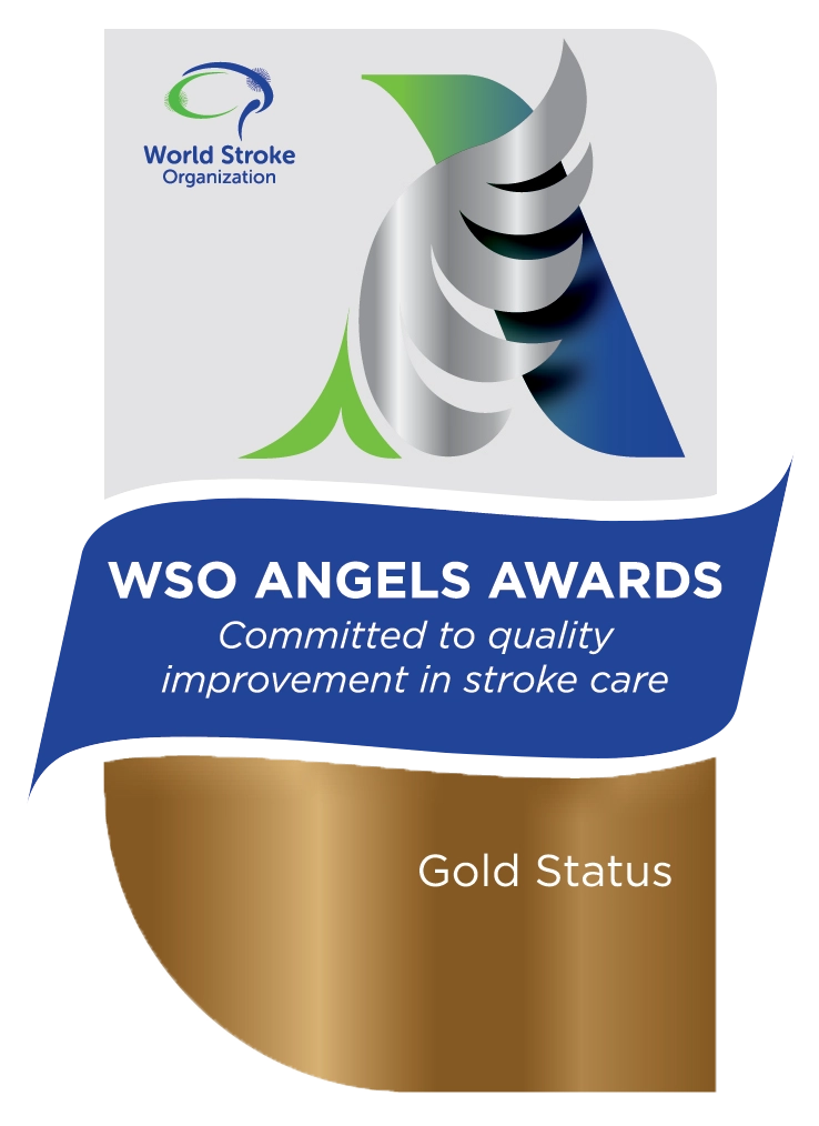 World Stroke Organisation Angels Award 2025 – Gold Status