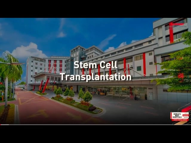 Stem Cell Transplant (SCT) Journey