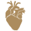 Cardiology