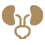 Nephrology