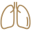 Respiratory Medicine